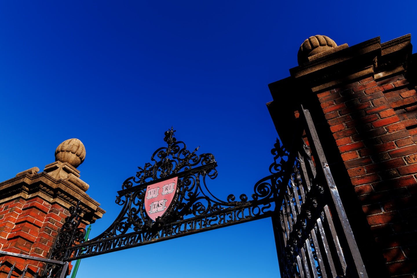 ハーバード大学の84年間の調査「幸福に最も影響を与えるのは年収や肩書きではなく、日々の人間関係」 - スマートAI名刺「Supawave」